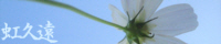 RXXoi[