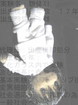 uPPv̓[}ɂĂ݂܂B