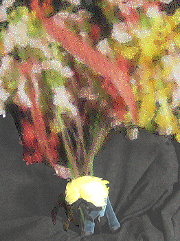 鐢EII
iEEɂ́AǂĂȂ㕨orzj