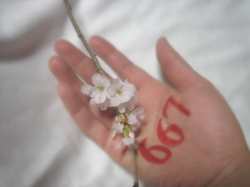 ̉摜A킢ij